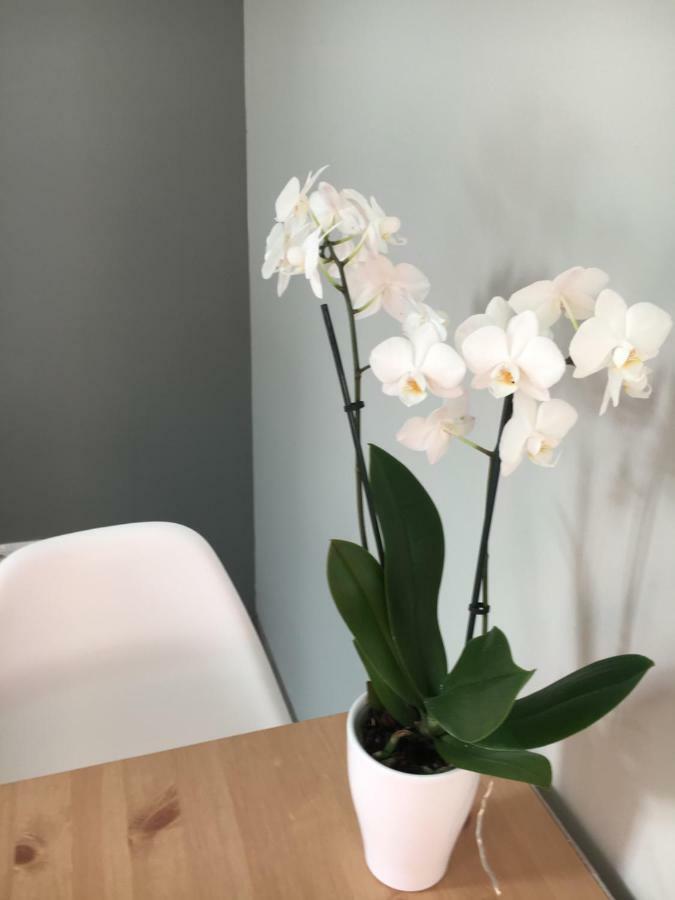 Apartament Easy Stay Center 弗罗茨瓦夫 外观 照片